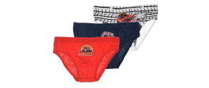 Spodní prádlo