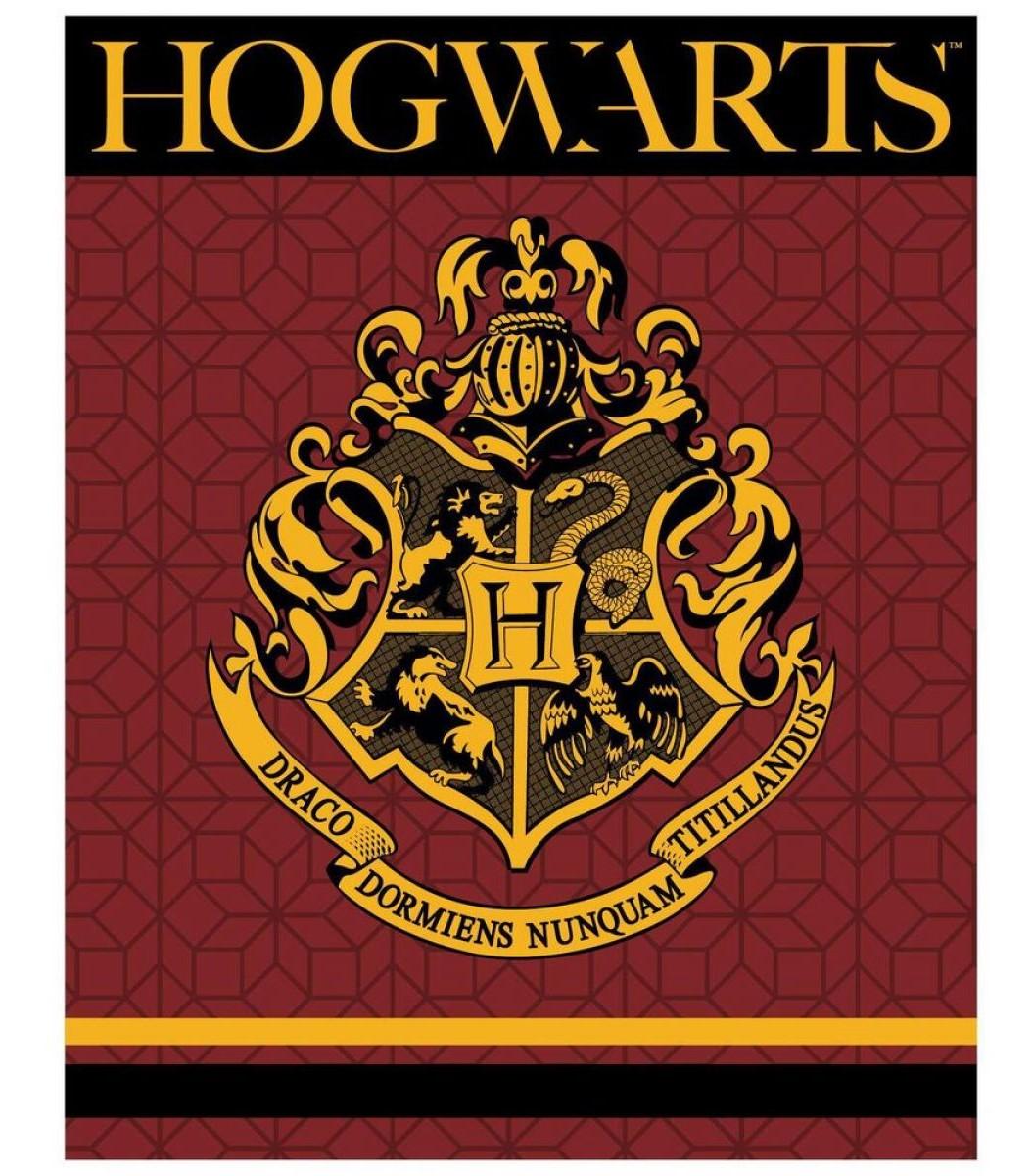 FLÍSOVÁ DEKA HARRY POTTER 120x150 cm