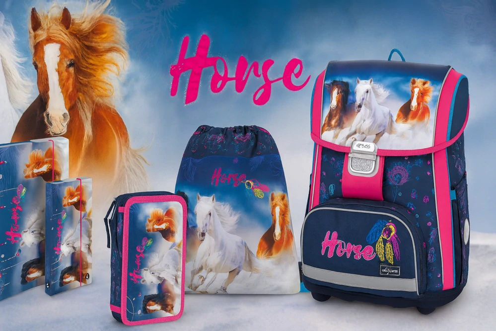 OXYBAG ŠKOLNÍ SADA PREMIUM KŮŇ 5 KS