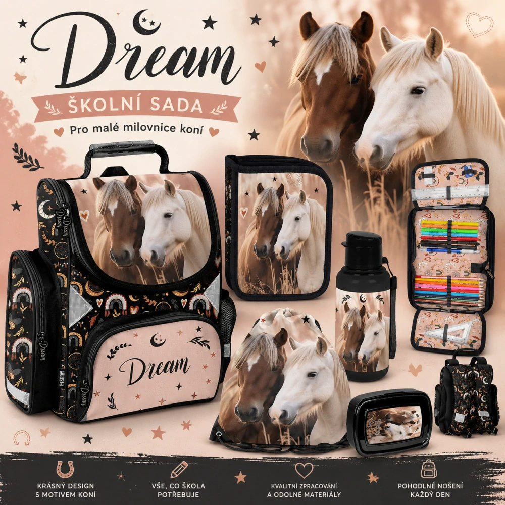 PASO ŠKOLNÍ SADA KONĚ DREAM 5 KS