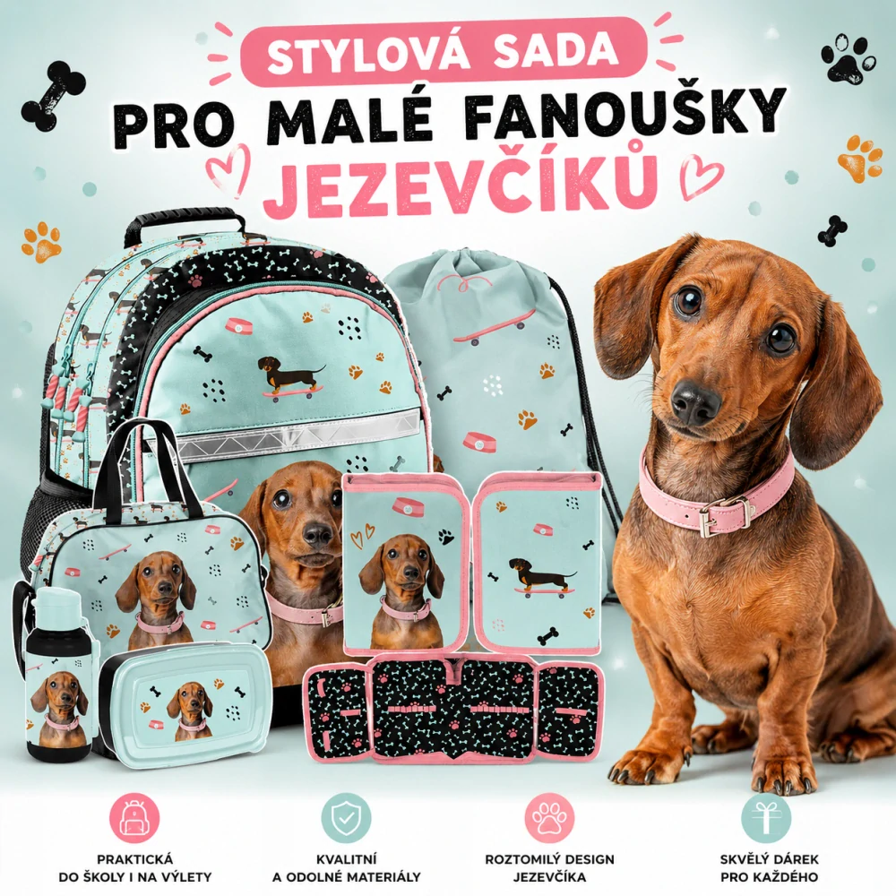 PASO ŠKOLNÍ SADA JEZEVČÍK 6 KS