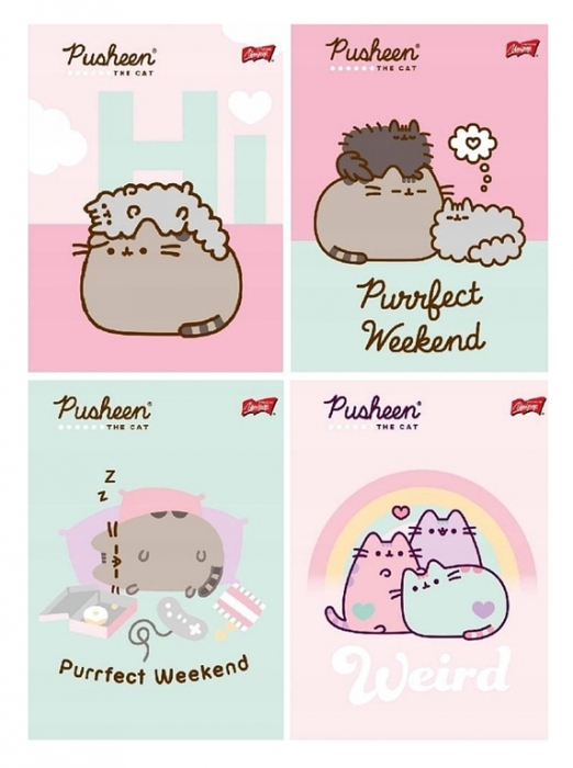 SEŠIT A5 KOČIČKA PUSHEEN linkovaný