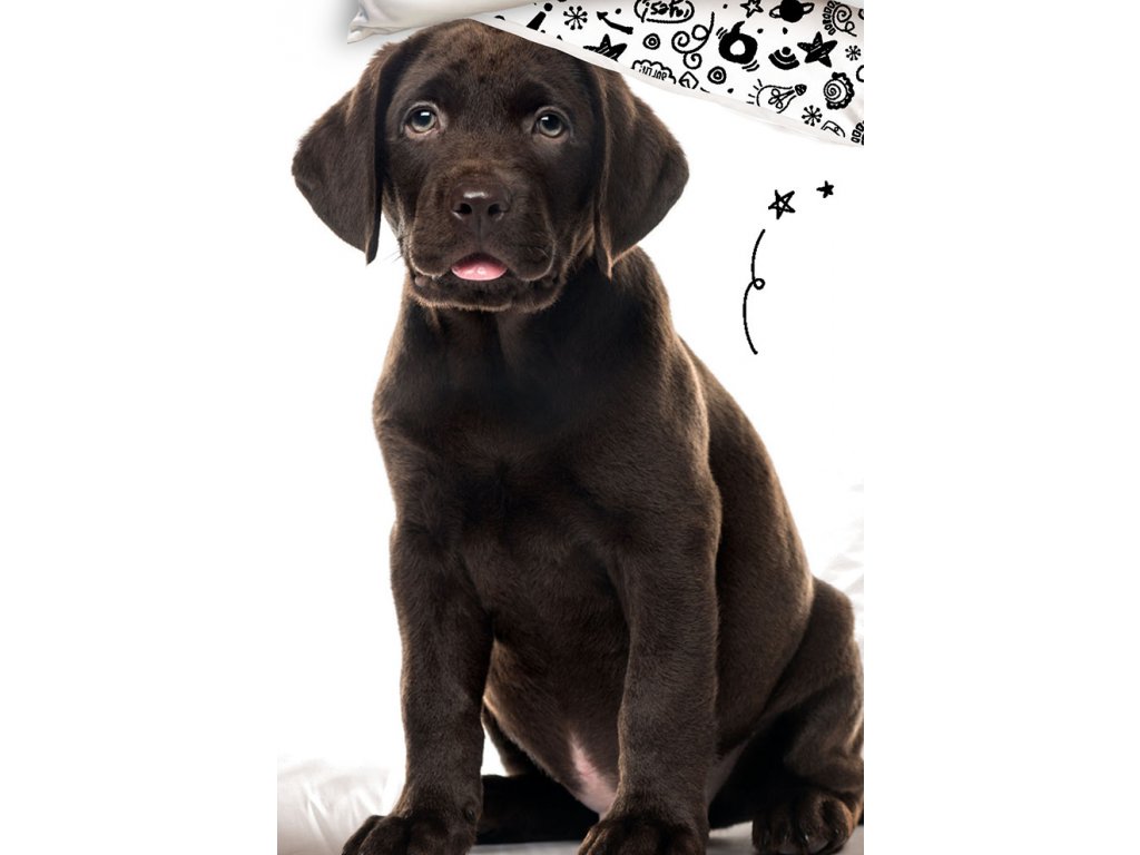 BAVLNĚNÉ POVLEČENÍ ŠTĚŇÁTKO HNĚDÝ LABRADOR