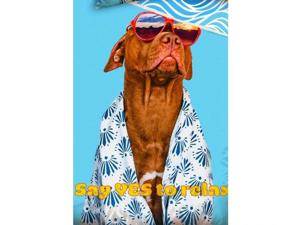 Bavlněné povlečení Pes Pittbul Aloha