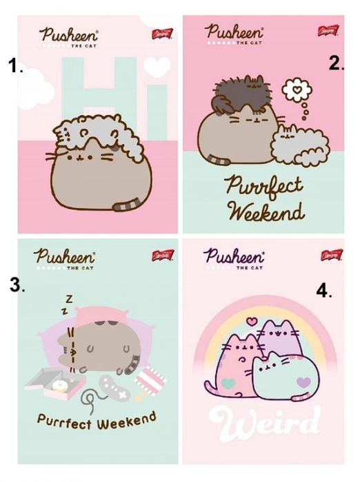 SEŠIT A5 KOČIČKA PUSHEEN linkovaný