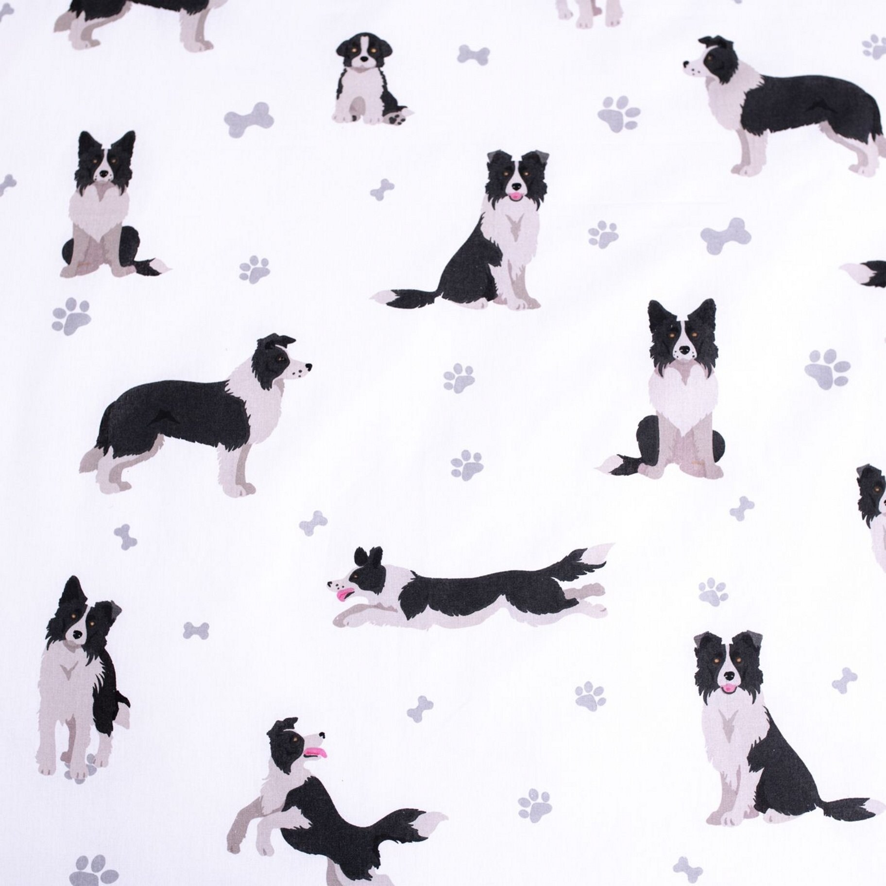 JERRY FABRICS Povlečení fototisk Border Kolie 140x200, 70x90 cm