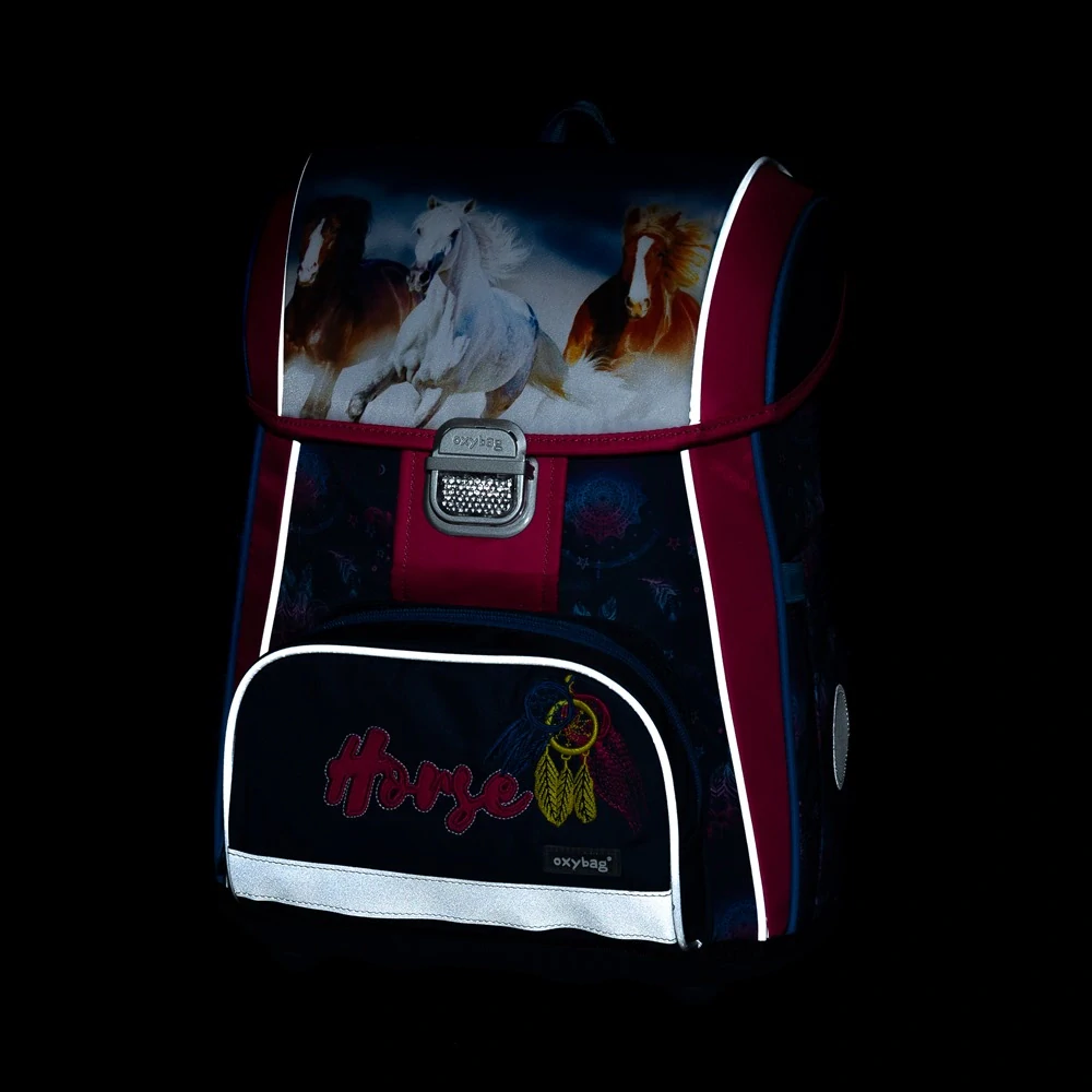 OXYBAG ŠKOLNÍ SADA PREMIUM KŮŇ 5 KS