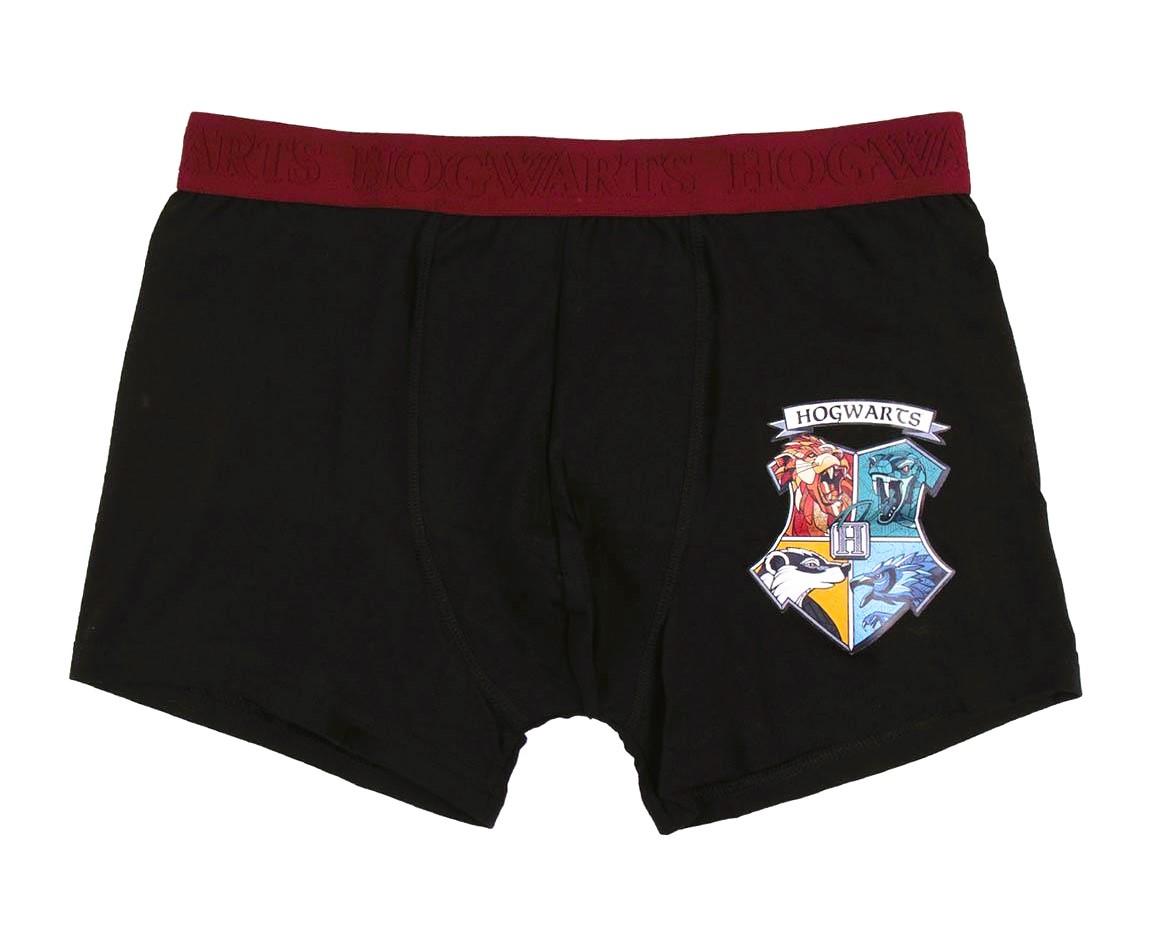 SADA 2 KS BOXERKY HARRY POTTER, L-XL