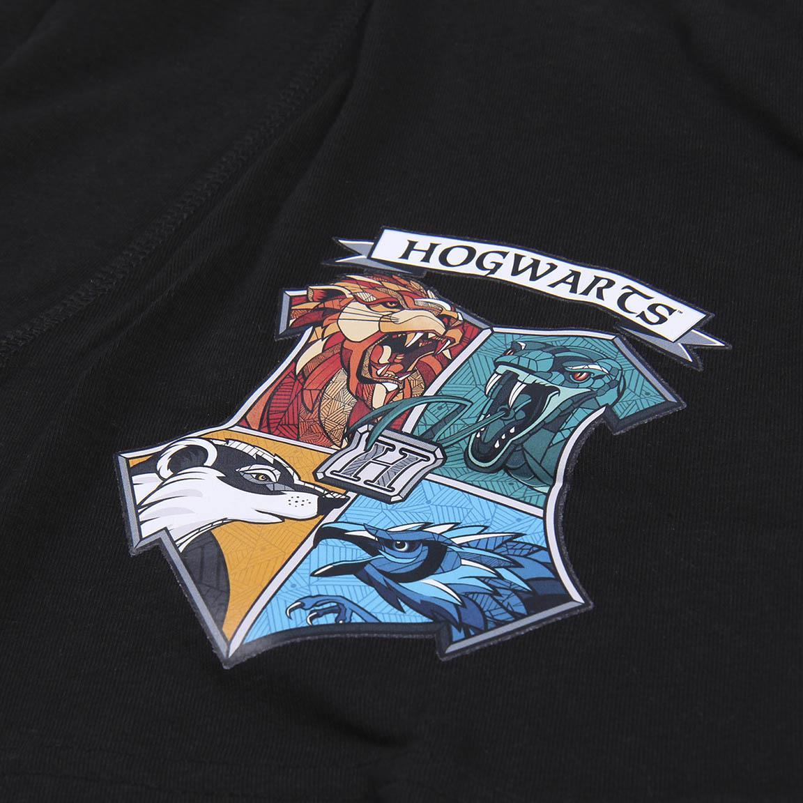 SADA 2 KS BOXERKY HARRY POTTER, L-XL