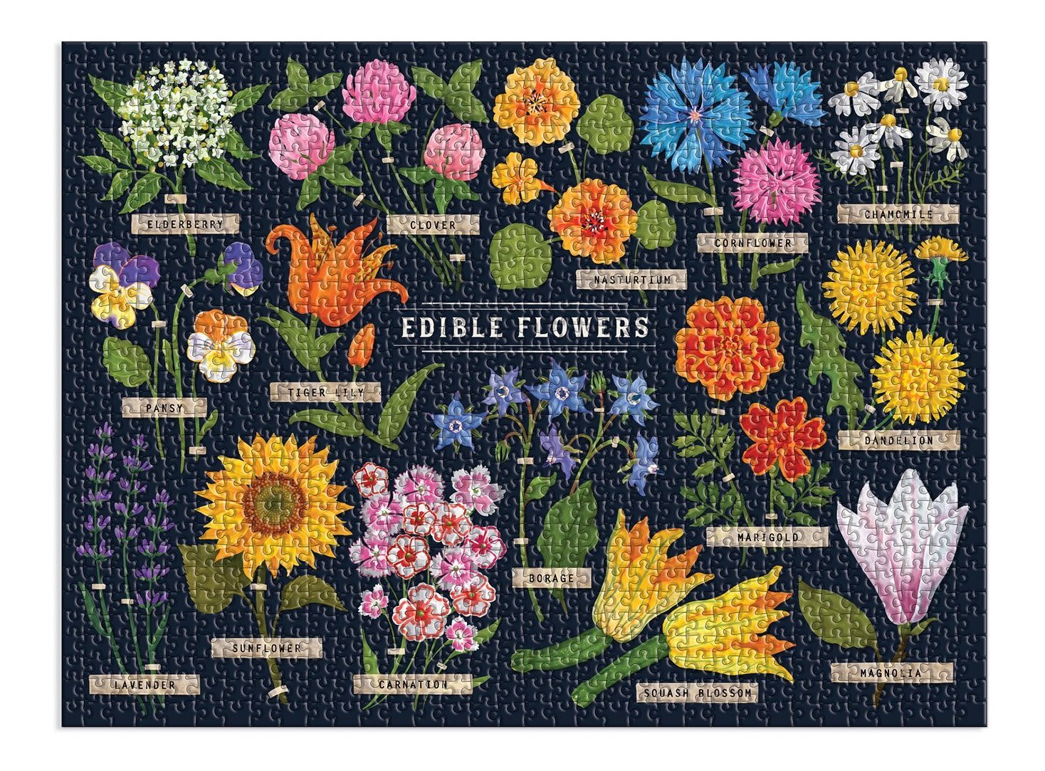 GALISON Puzzle Jedlé květiny 1000 dílků