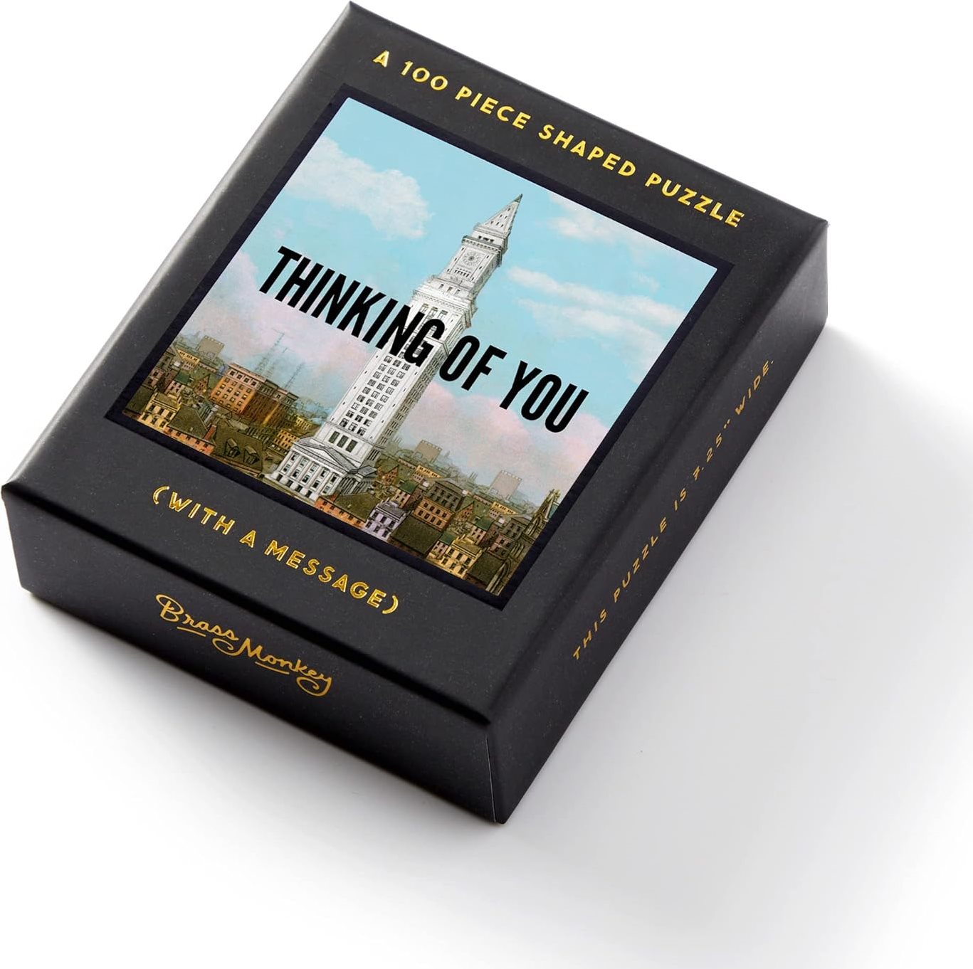 GALISON Čtvercové puzzle Thinking of You 100 dílků