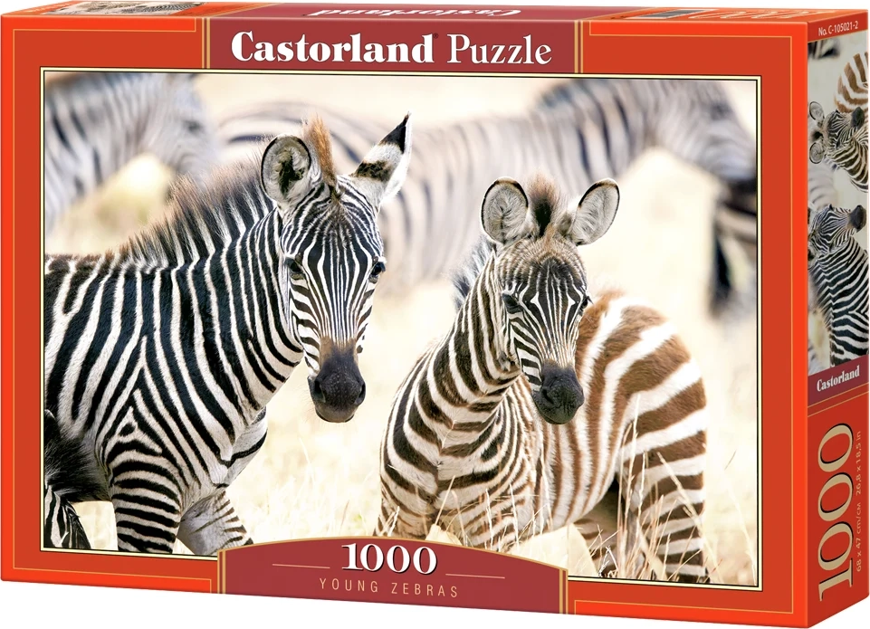 CASTORLAND Puzzle Mladé zebry 1000 dílků