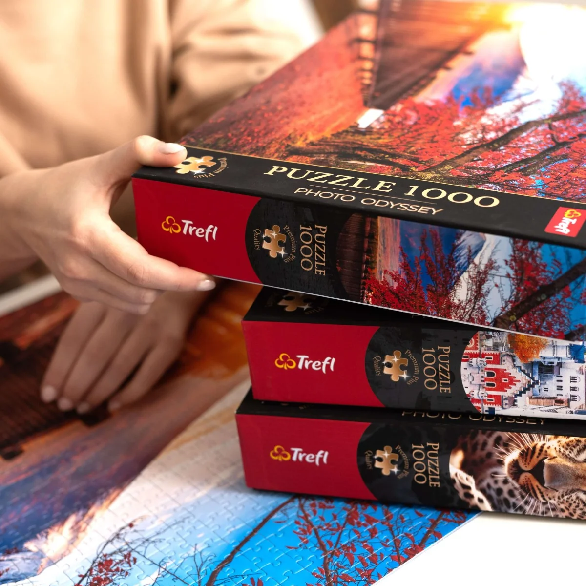 TREFL Puzzle Premium Plus Tea Time: Zpěvní ptáci 1000 dílků