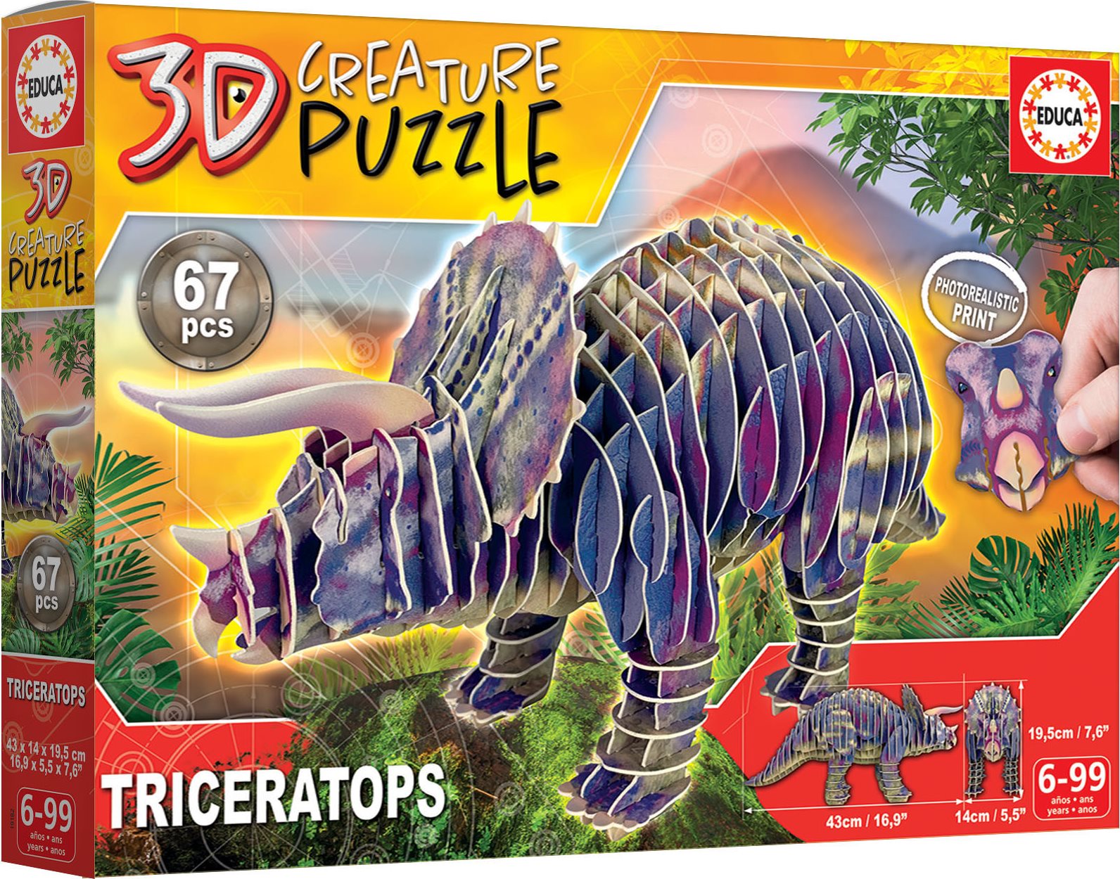 EDUCA 3D puzzle Triceratops 67 dílků