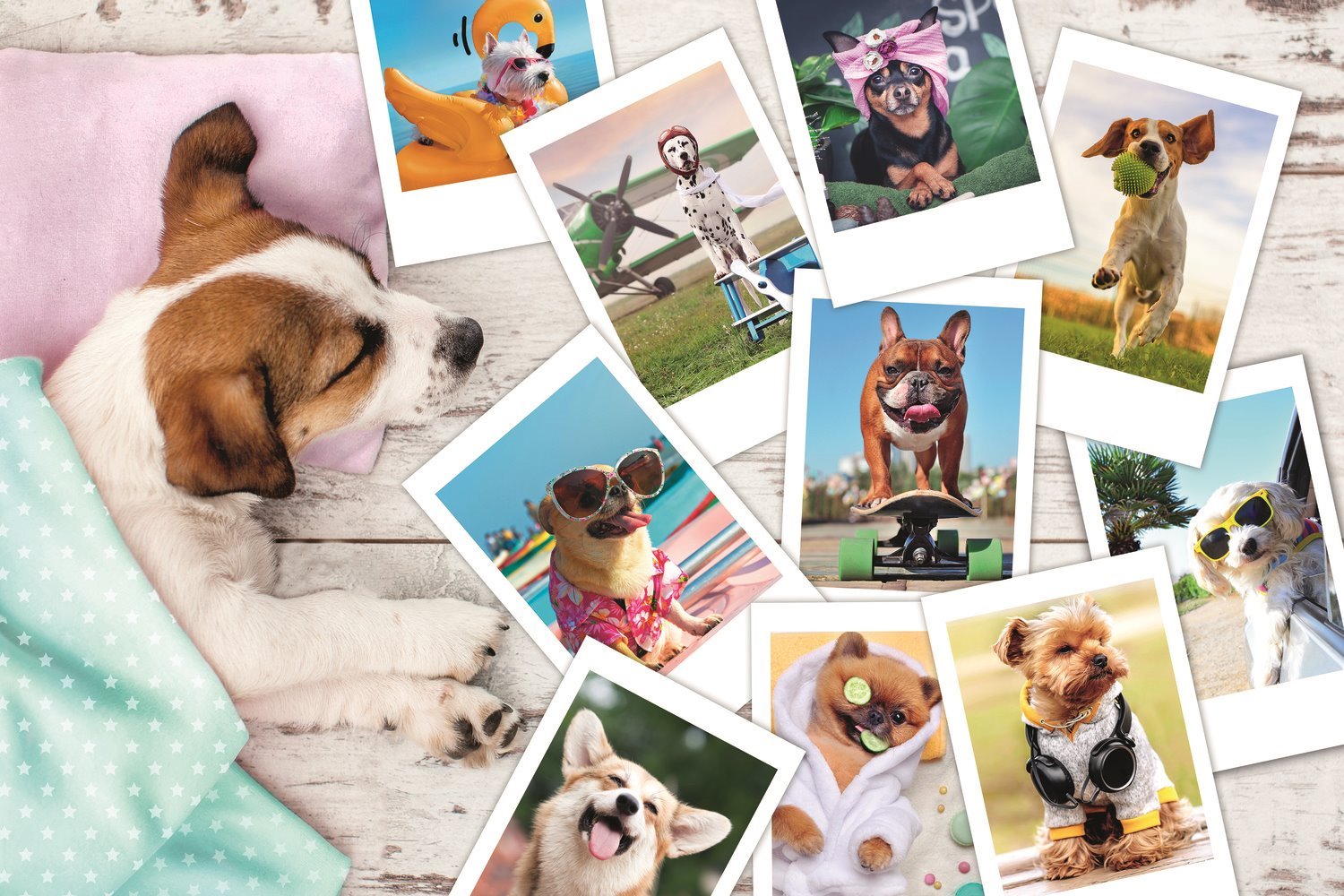 TREFL Puzzle Fotky z dovolené 300 dílků