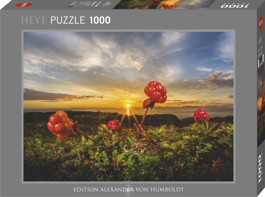 HEYE Puzzle Ostružiny moruška 1000 dílků