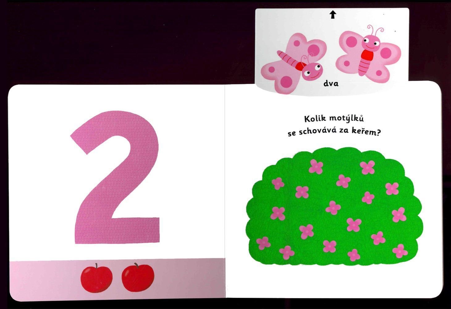 Svojtka & Co. MiniPEDIE Objevujeme svět! Čísla