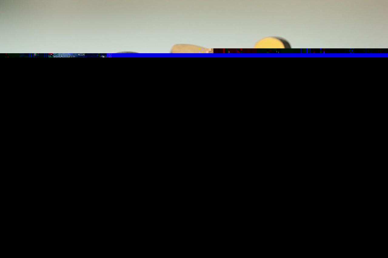 ART PUZZLE Dřevěné puzzle Dinosauři na rybách 16 dílků