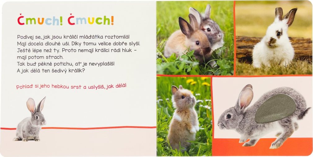Svojtka & Co. Poslouchej, kdo to může být? Roztomilá zvířata