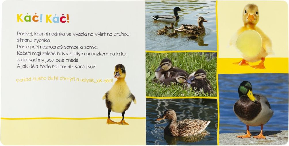 Svojtka & Co. Poslouchej, kdo to může být? V přírodě