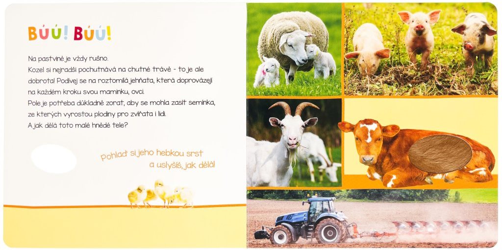 Svojtka & Co. Poslouchej, co to může být? Farma