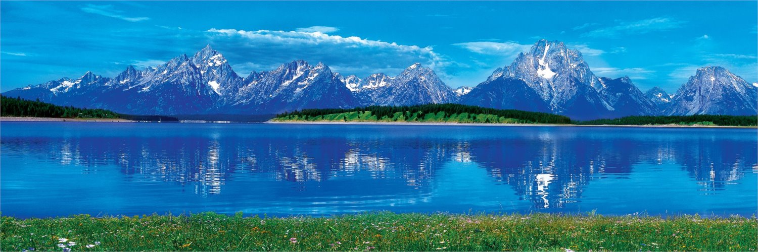 MASTERPIECES Obrysové puzzle Motýlí překvapení 1000 dílků