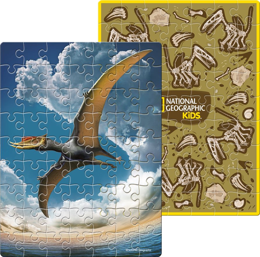 CUBICFUN Oboustranné puzzle ve vejci National Geographic: Pterosaur 63 dílků