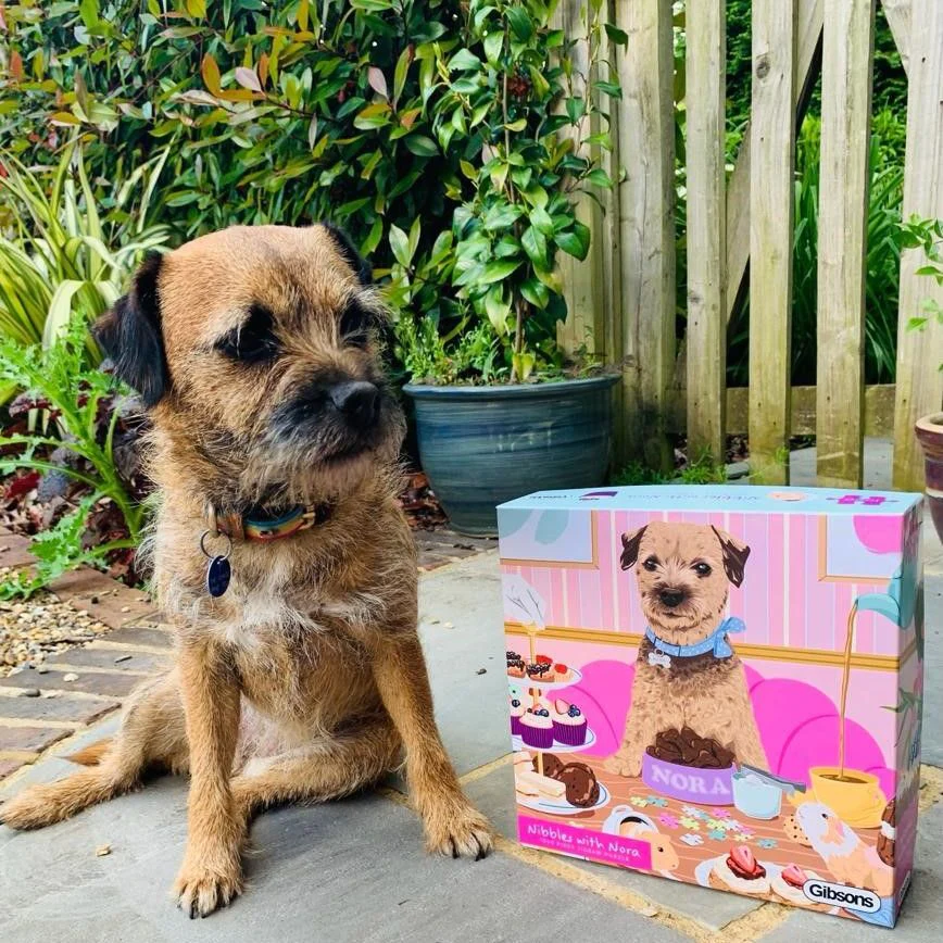 GIBSONS Puzzle Mlsání s Norou 1000 dílků