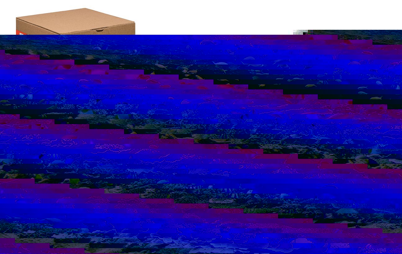 WOODEN CITY Dřevěné puzzle Korálový útes 2v1, 100 dílků EKO