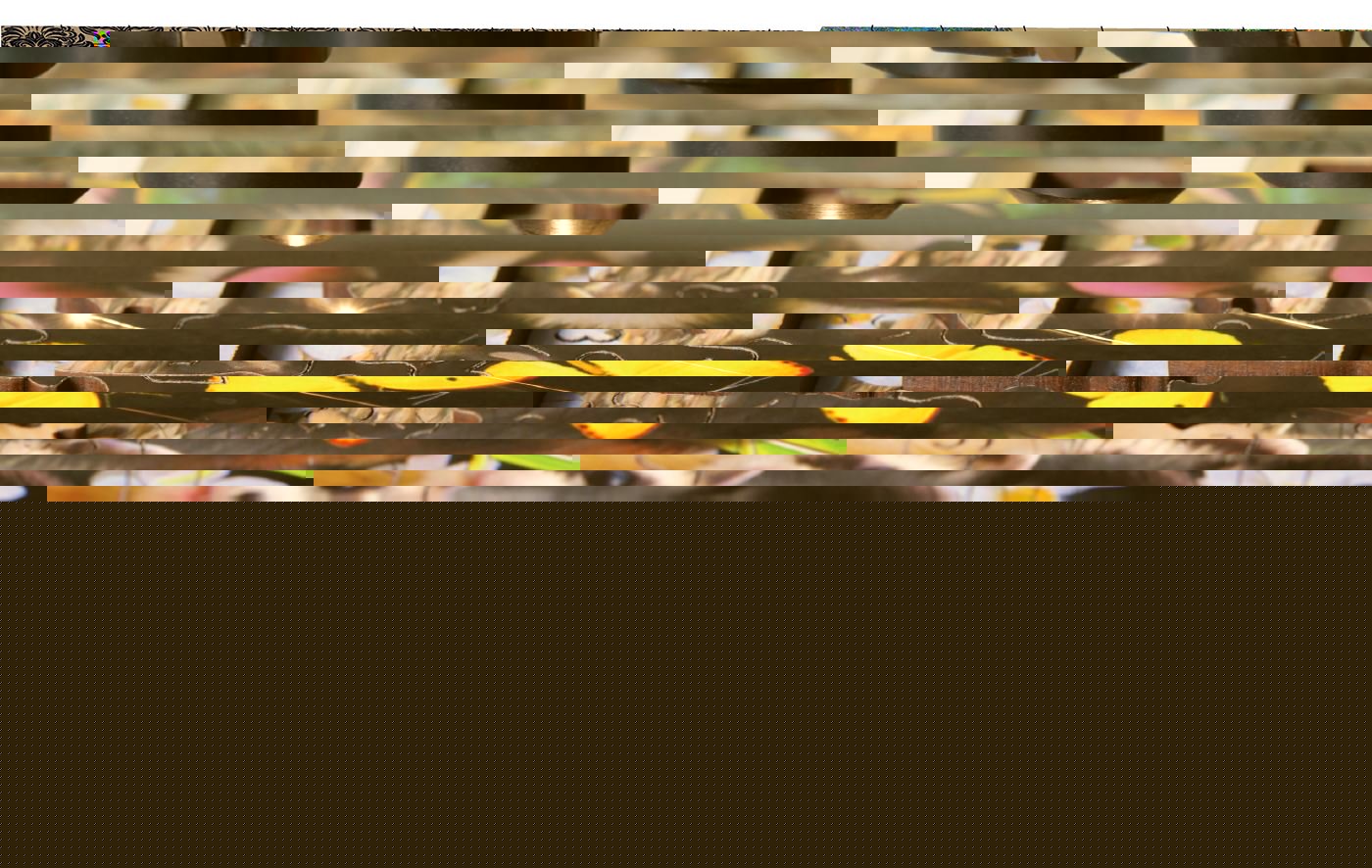 WOODEN CITY Dřevěné puzzle Sladké dobrodružství 2v1, 400 dílků EKO