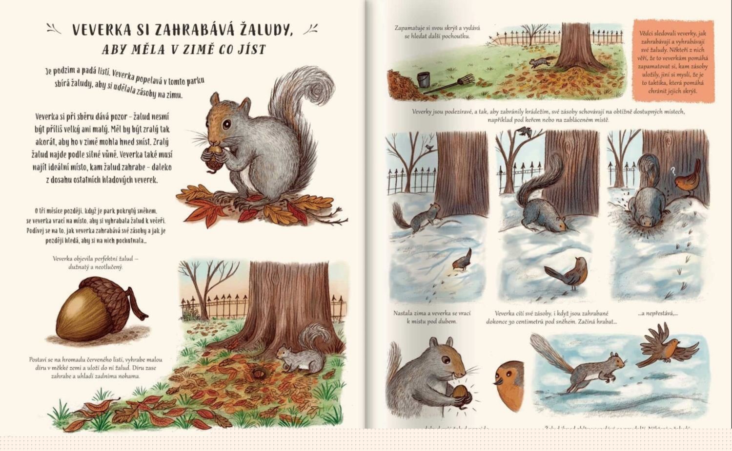 Svojtka & Co. Zpomal a pozoruj