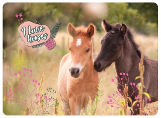 JÍDELNÍ PODLOŽKA - PROSTÍRÁNÍ KONĚ I LOVE HORSES