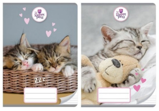 SEŠIT A5 SWEET PETS KOČKA linkovaný