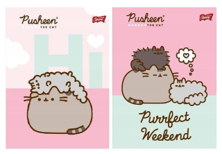 SEŠIT A5 KOČIČKA PUSHEEN linkovaný