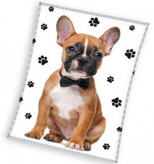 DĚTSKÁ DEKA FRANCOUZSKÝ BULDOČEK ELEGÁN 130X170 CM