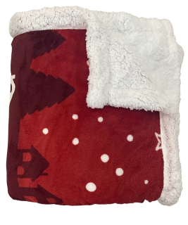 JERRY FABRICS Deka mikroplyš s beránkem CITARA 140x200 cm