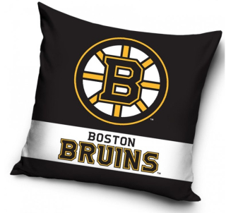 POLŠTÁŘEK NHL BOSTON BRUINS