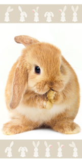 JERRY FABRICS Osuška Králíček brown 70x140 cm