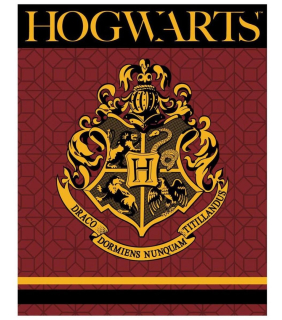 FLÍSOVÁ DEKA HARRY POTTER 120x150 cm