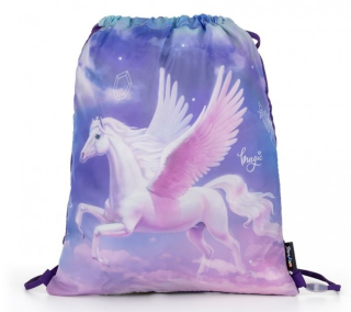 Sáček na cvičky Pegas