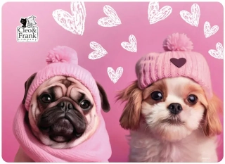 JÍDELNÍ PODLOŽKA - PROSTÍRÁNÍ CLEO A FRANK PEJSCI 24