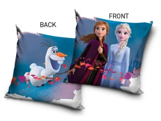 DĚTSKÝ POLŠTÁŘEK LEDOVÉ KRÁLOVSTVÍ DO NEZNÁMA DÁL