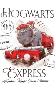 DĚTSKÝ RUČNÍK HARRY POTTER BRADAVICKÝ EXPRESS 30X50 CM