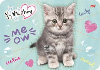 Jídelní podložka - prostírání My Little Friend kočka