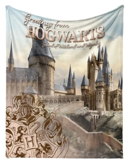 Dětská deka Harry Potter Bradavické Tajemství 130x160 cm