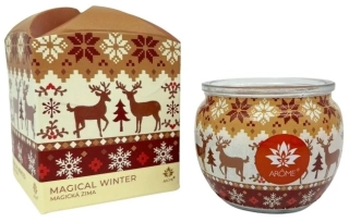 LUXUSNÍ SVÍČKA VE SKLE Magická zima 90g