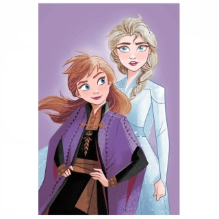 JERRY FABRICS Mikroflanelová deka Frozen Purple 05 100x150 cm