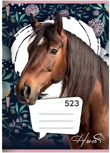 Školní sešit A5 523 Kůň linkovaný