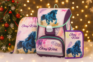 Školní set 3ks PREMIUM ONE Kůň