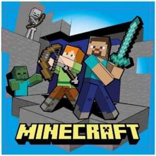 DĚTSKÝ RUČNÍK MINECRAFT 30X30 cm